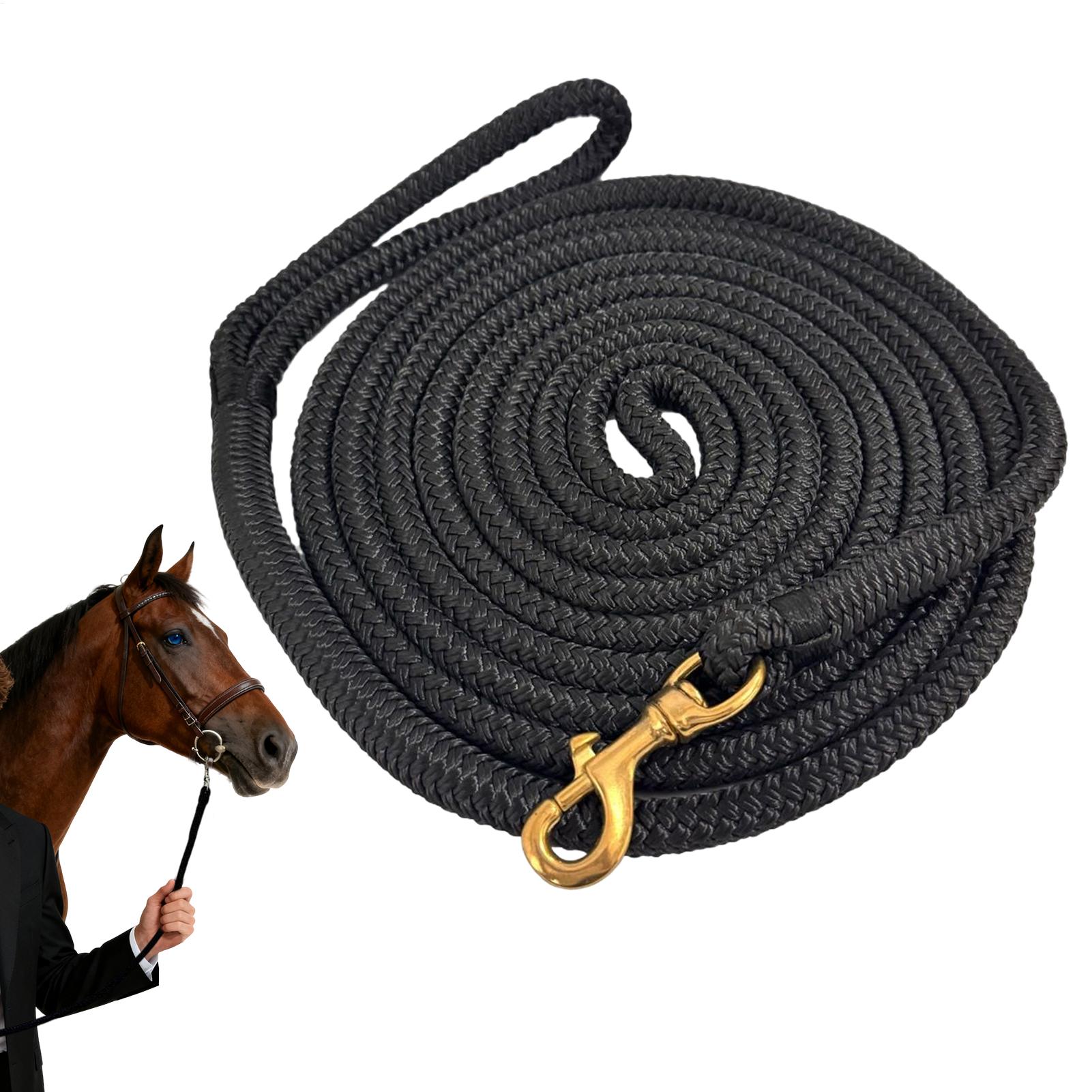 Sznur do lungowania koni, link – Lunge Line Horse recenzja i cena